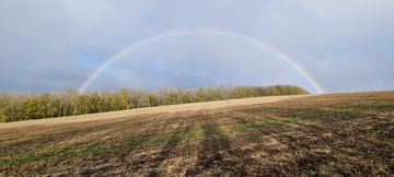 2021 Nov Rainbow over Millington